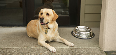 Discounts for Members Page